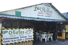 Otates Cozumel Mexico