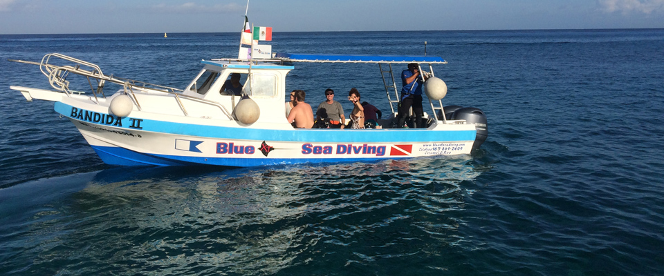 blue xt sea diving cozumel