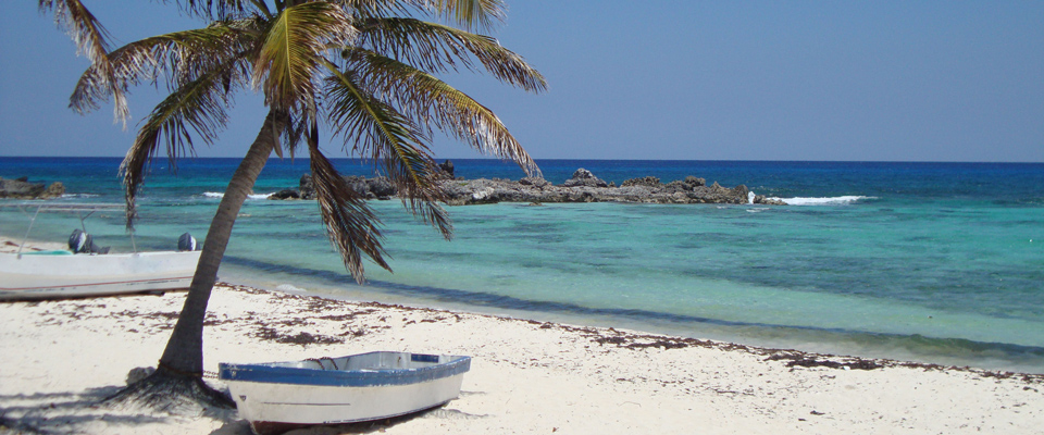 blue xt sea diving cozumel